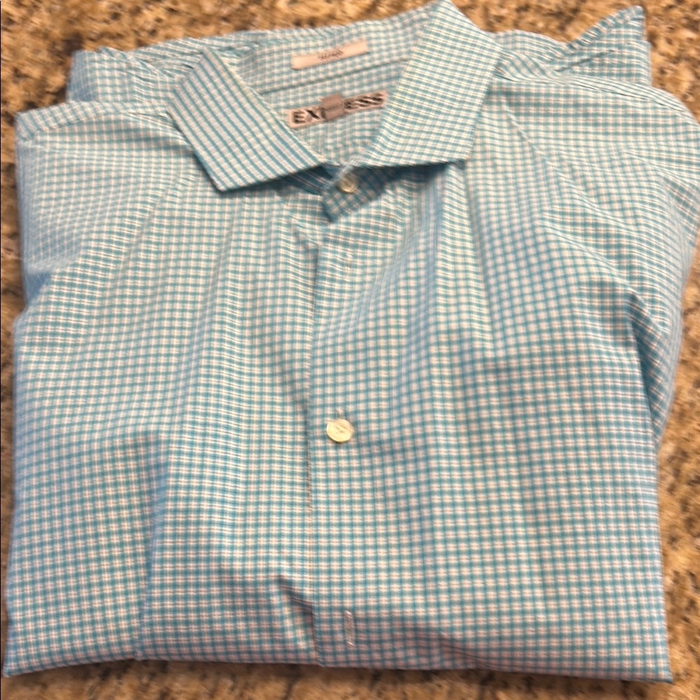 Express Blue and White Gingham Casual Shirt